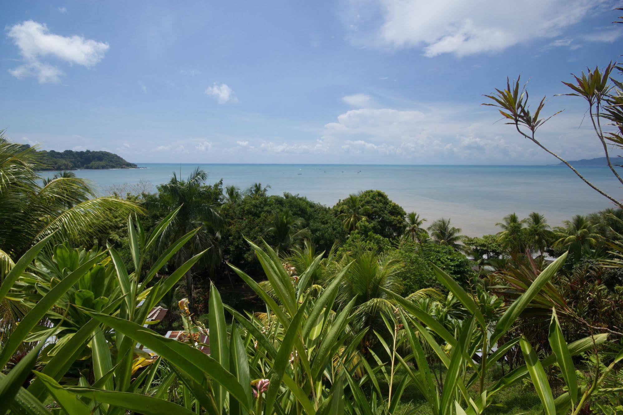 Hotel Rancho Corcovado Драке Экстерьер фото